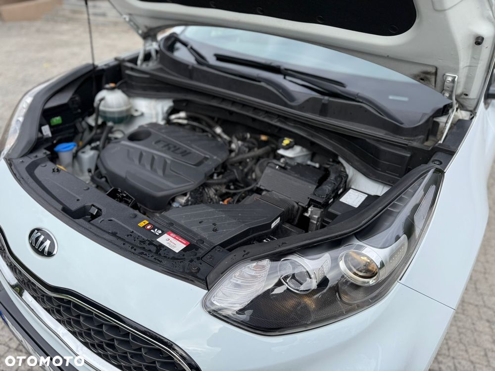 Kia Sportage 1.6 CRDI AWD Eco-Dynamics+ (48V M-H) DCT Black Edition - 31