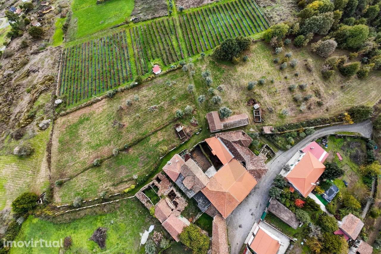 Solar Brasonado | Decermilo, Sátão | Séc. XX | 1.5ha | Projeto de Reab - Grande imagem: 4/47