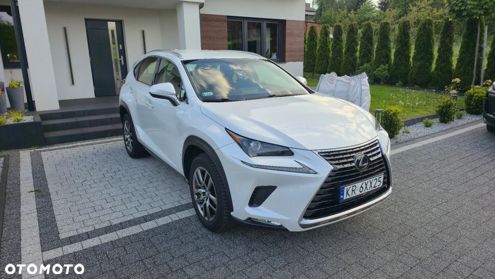 Lexus NX 300 Business Edition AWD - 3
