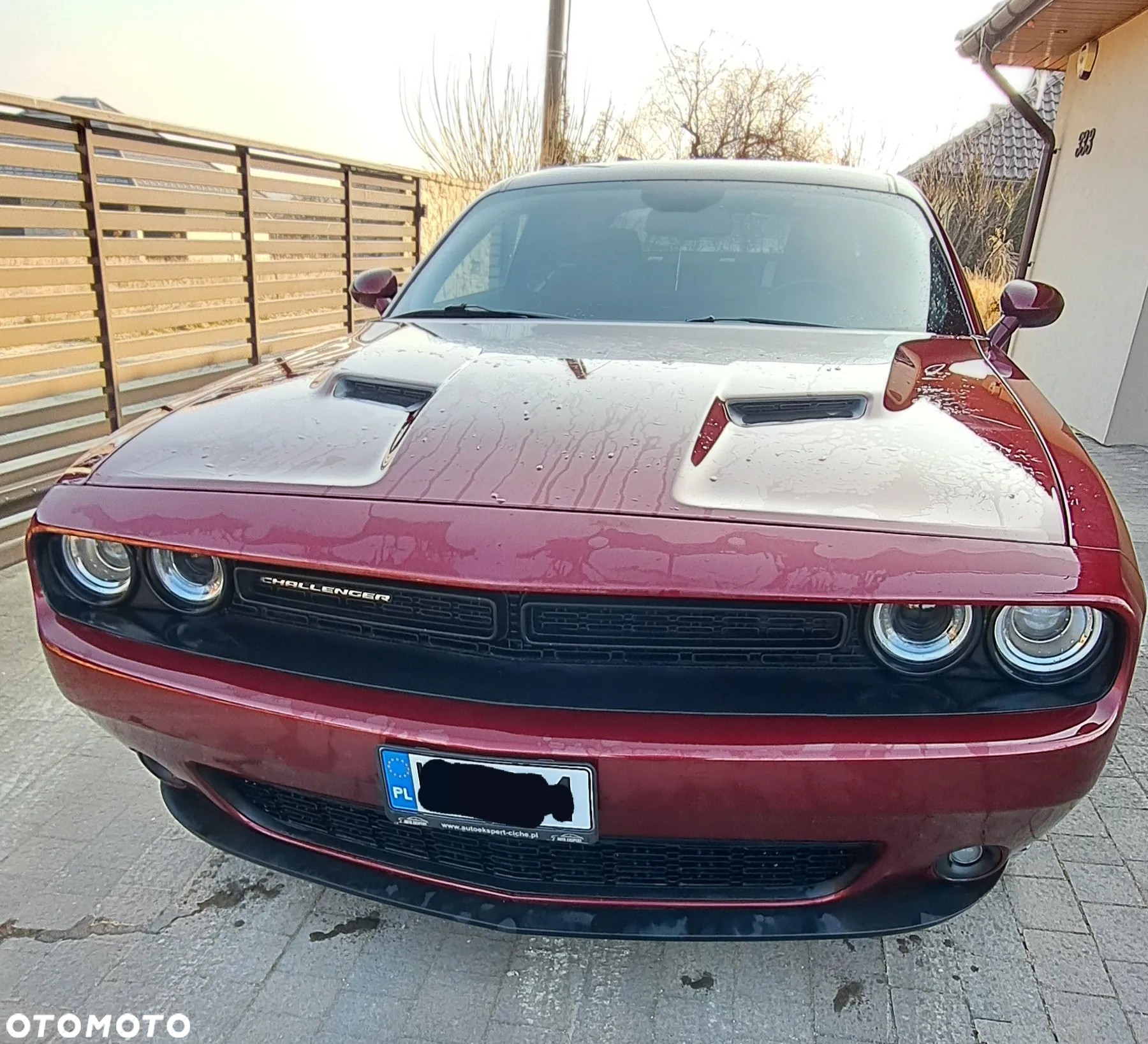 Dodge Challenger Automatik SXT Plus - 5