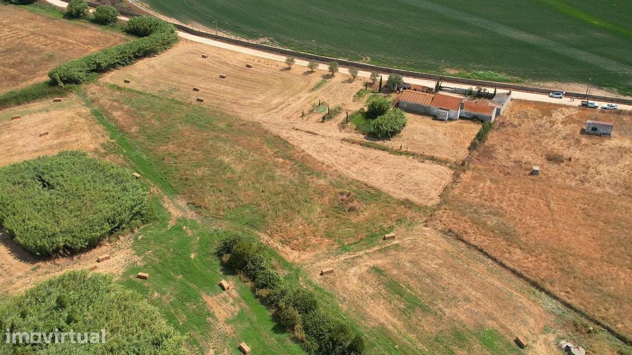 Terreno Rústico em Alcochete  com 5000 m2 – Natureza,  com Potencial - Grande imagem: 2/9