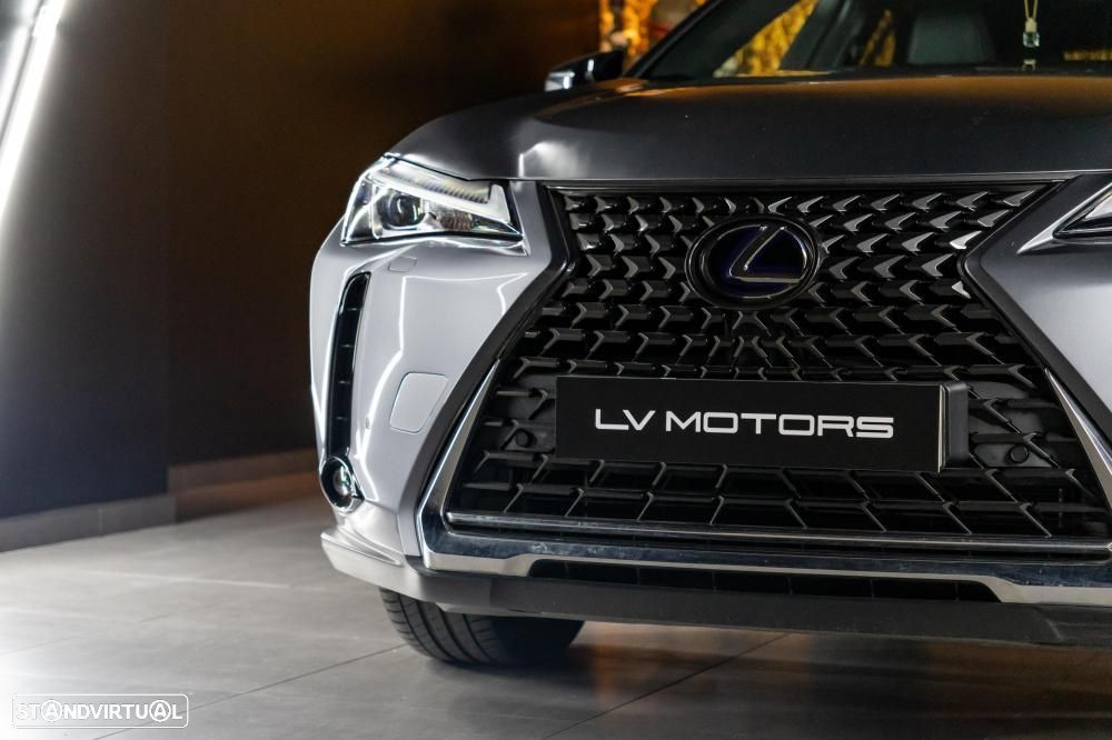 Lexus UX 300e Luxury - 9