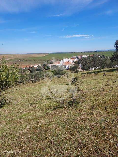 Terreno rústico com possibilidade de construção - Grande imagem: 5/7