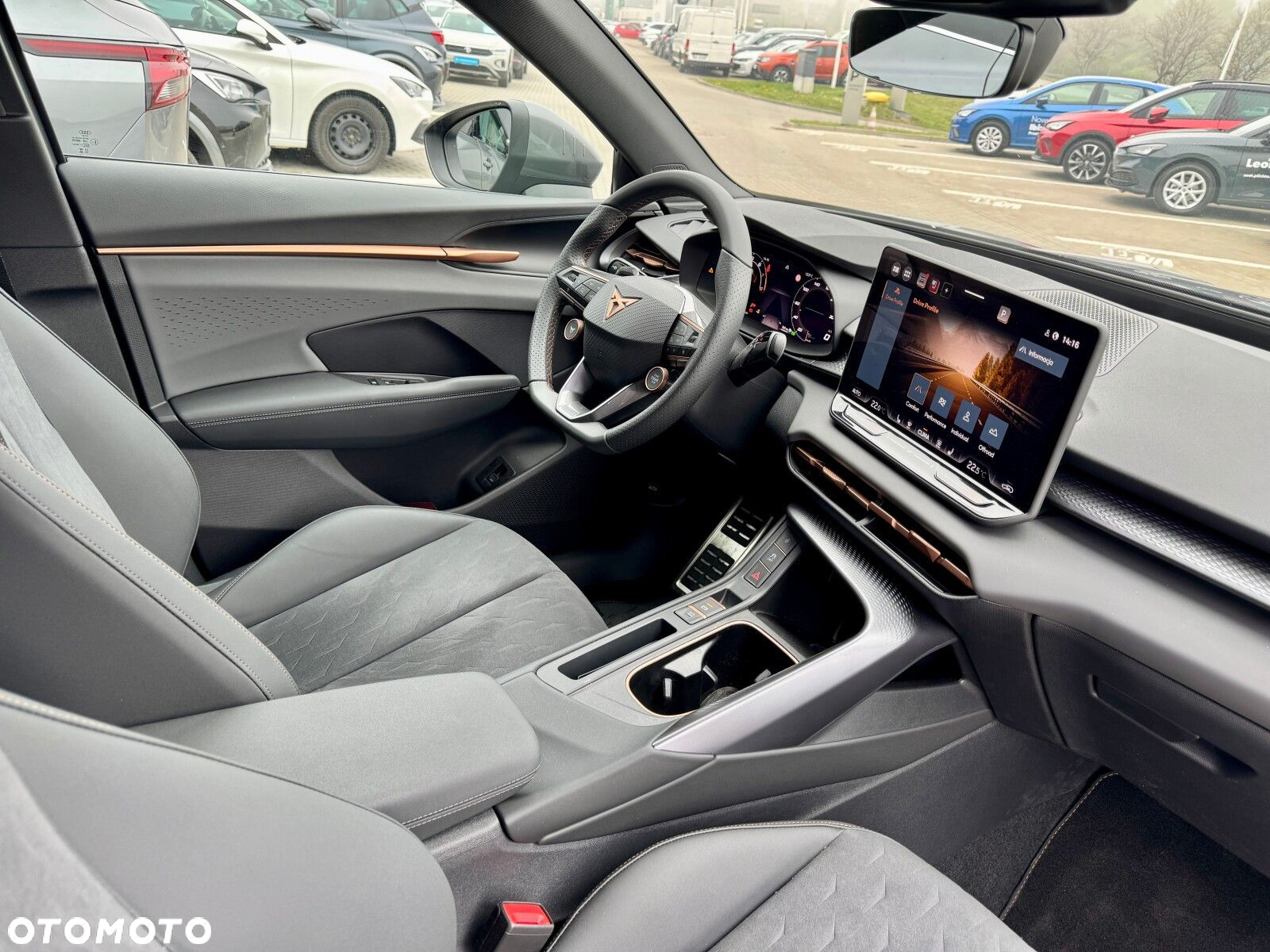 Cupra Terramar - 22