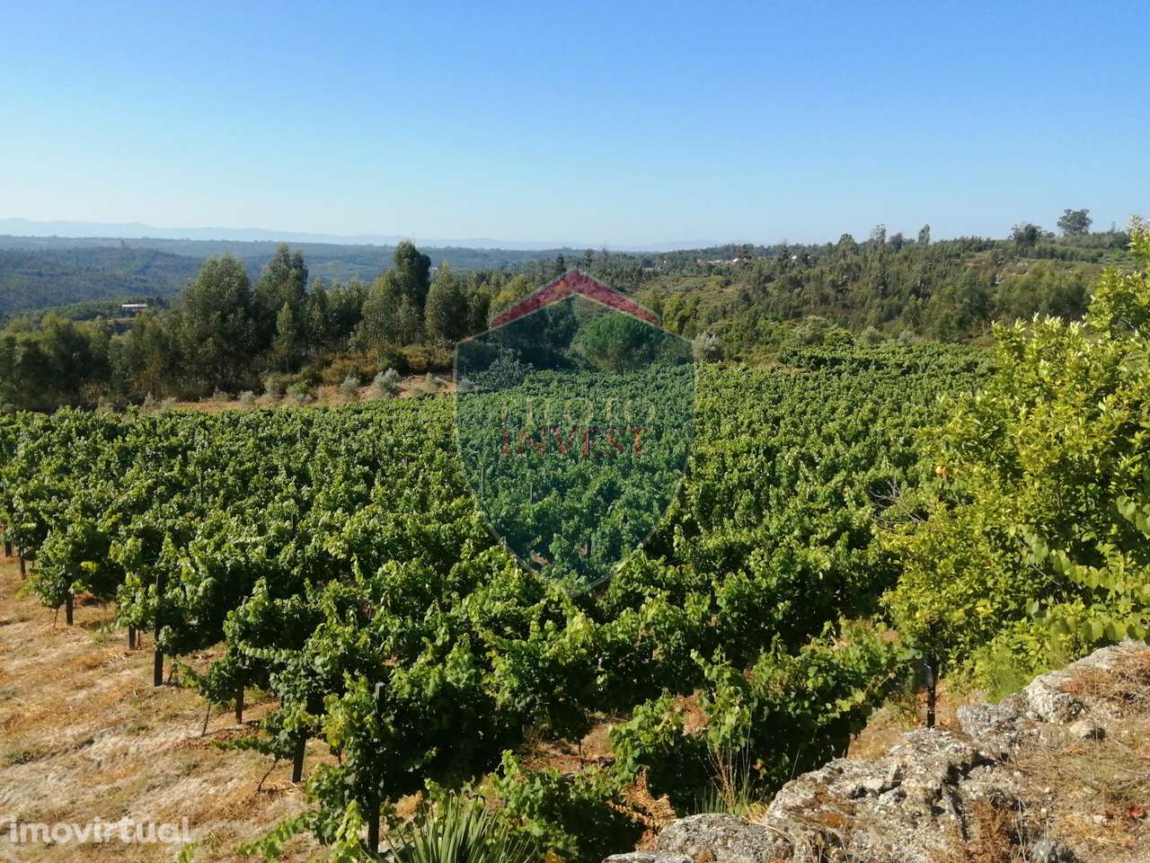 Quinta  Venda em Silgueiros,Viseu - Grande imagem: 3/24