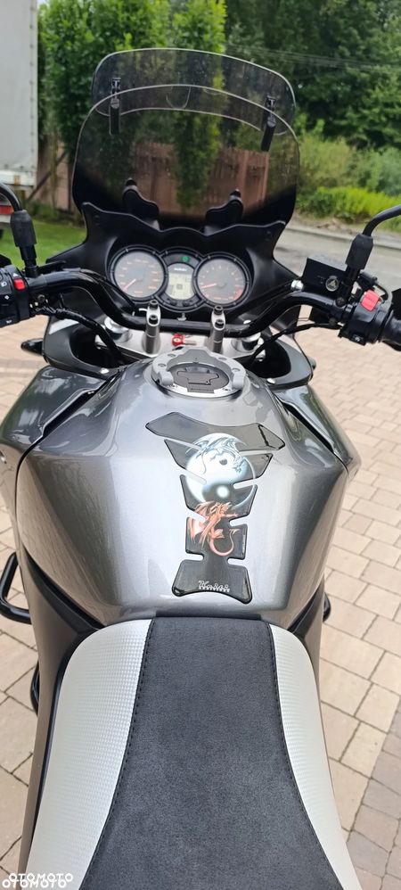 Suzuki V-STROM - 11