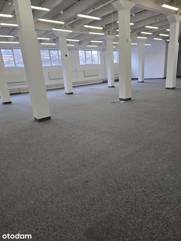 Lokal użytkowy do wynajęcia -400m2 w centrum Skoczowa - Pełny obrazek: 3/4