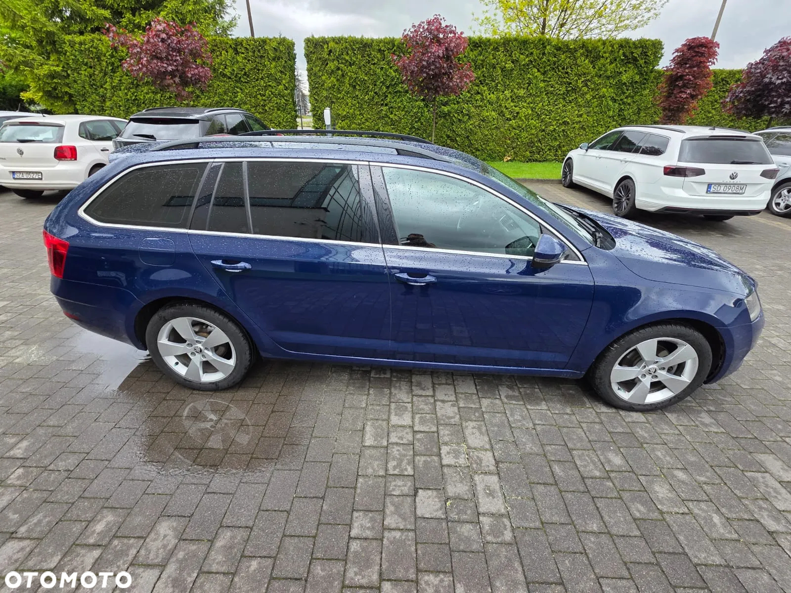 Skoda Octavia - 6