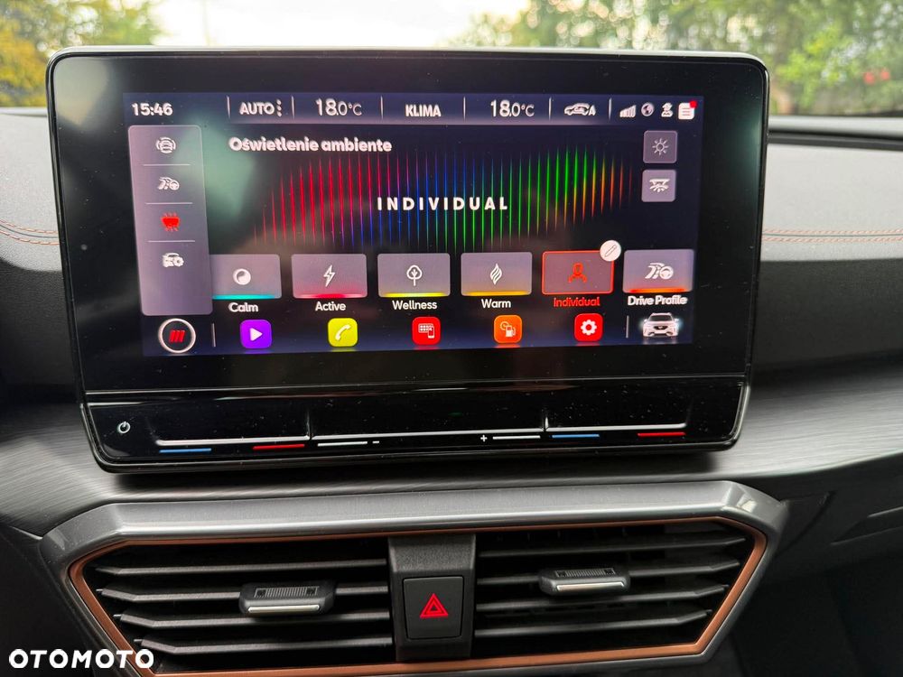Cupra Formentor 2.0 TDI - 17