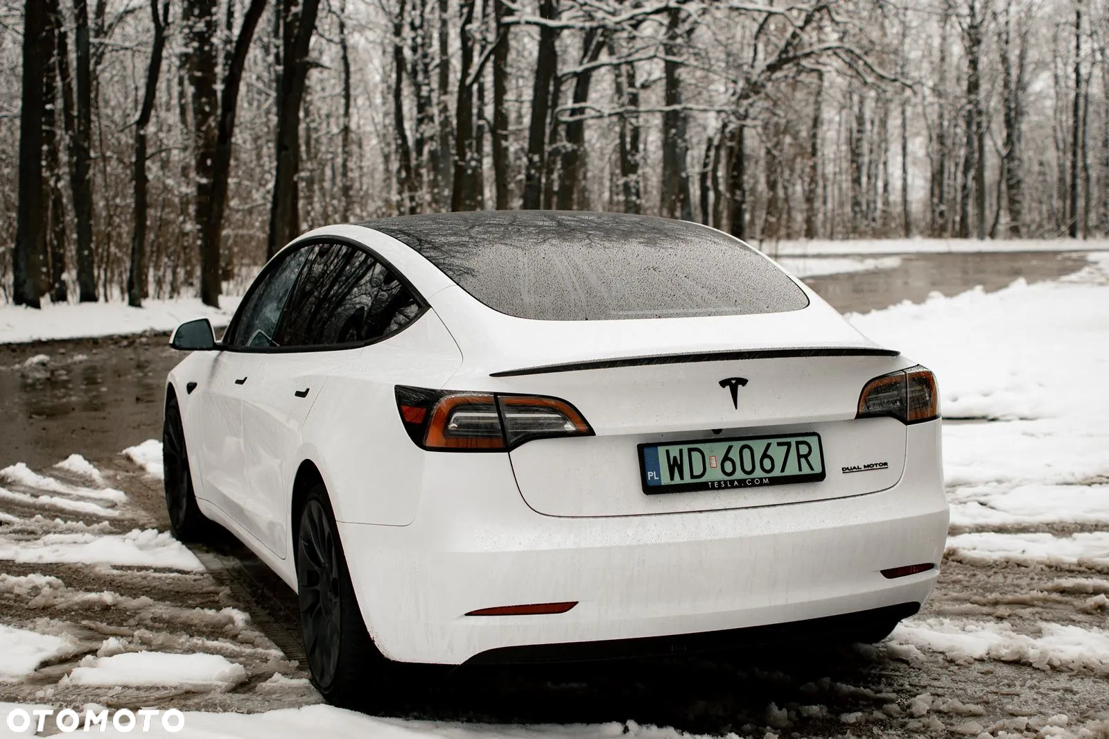 Tesla Model 3 Performance AWD - 7