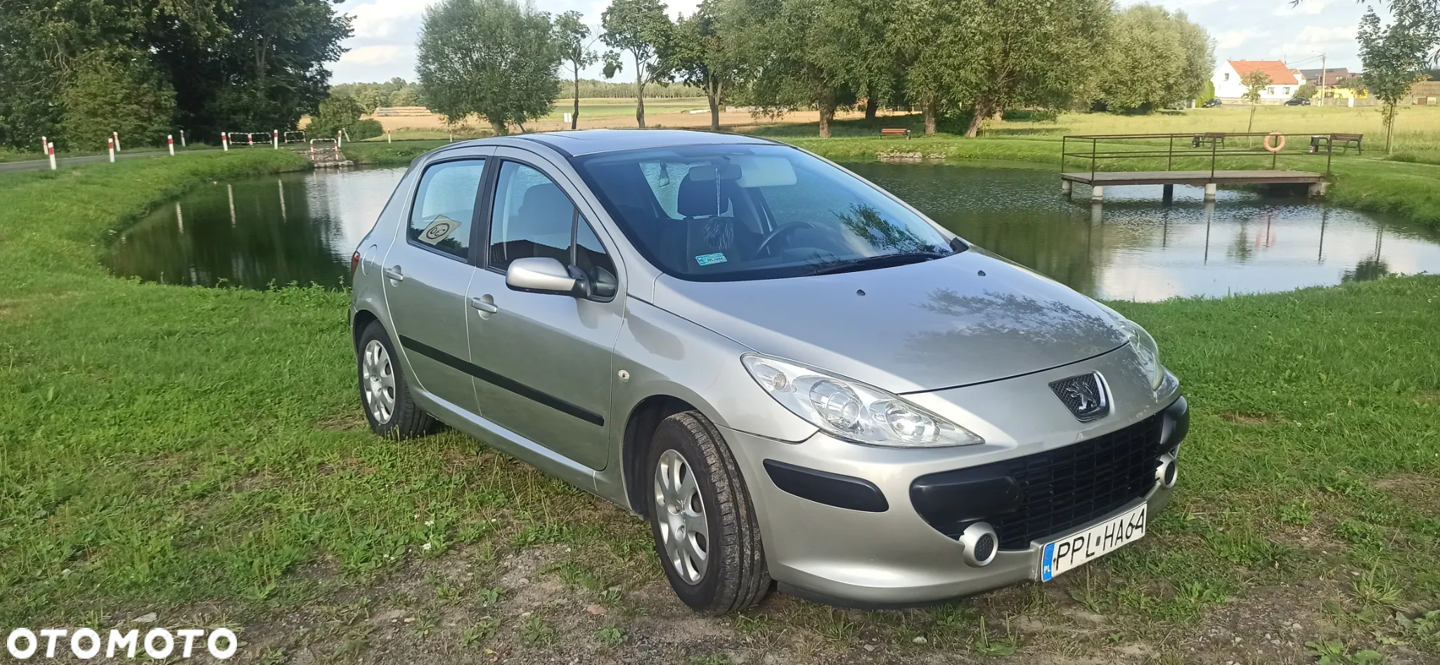 Peugeot 307 - 7