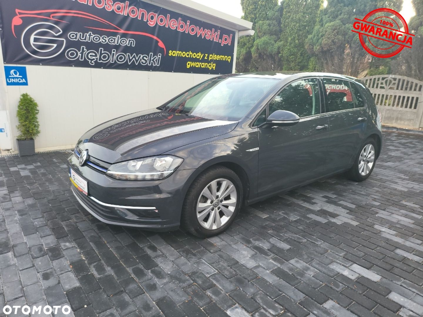 Volkswagen Golf - 2