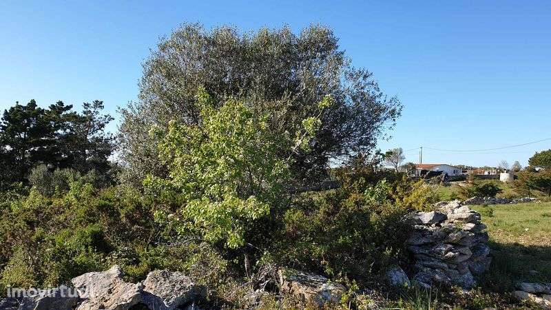 Terreno à venda na Rua Moinho de Almograve - Grande imagem: 4/12