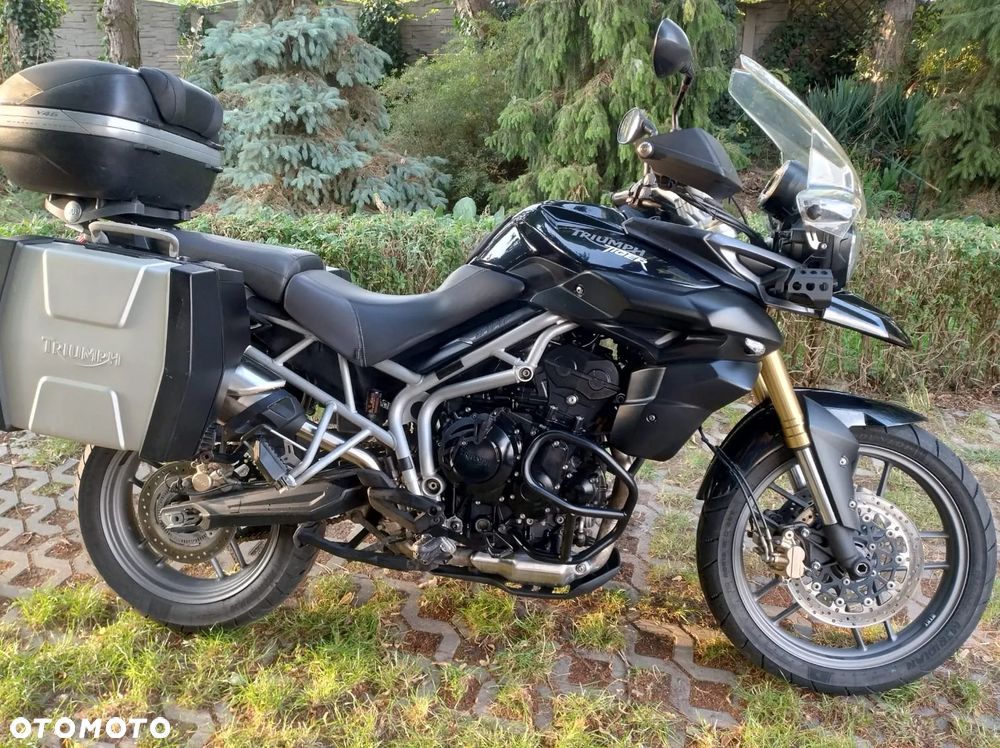Triumph Tiger - 5