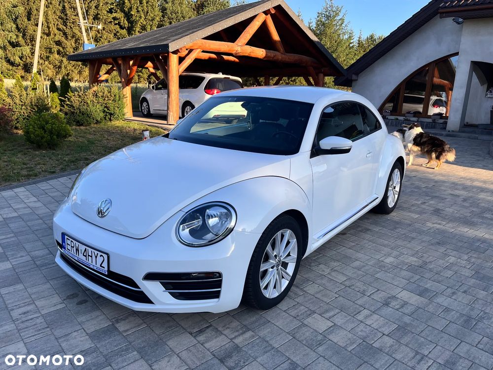 Volkswagen Beetle - 1