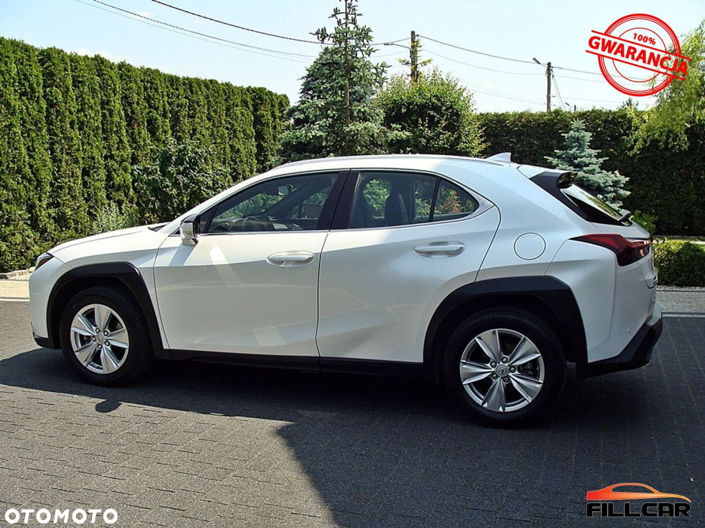 Lexus UX 250h (E-FOUR) Luxury Line - 8
