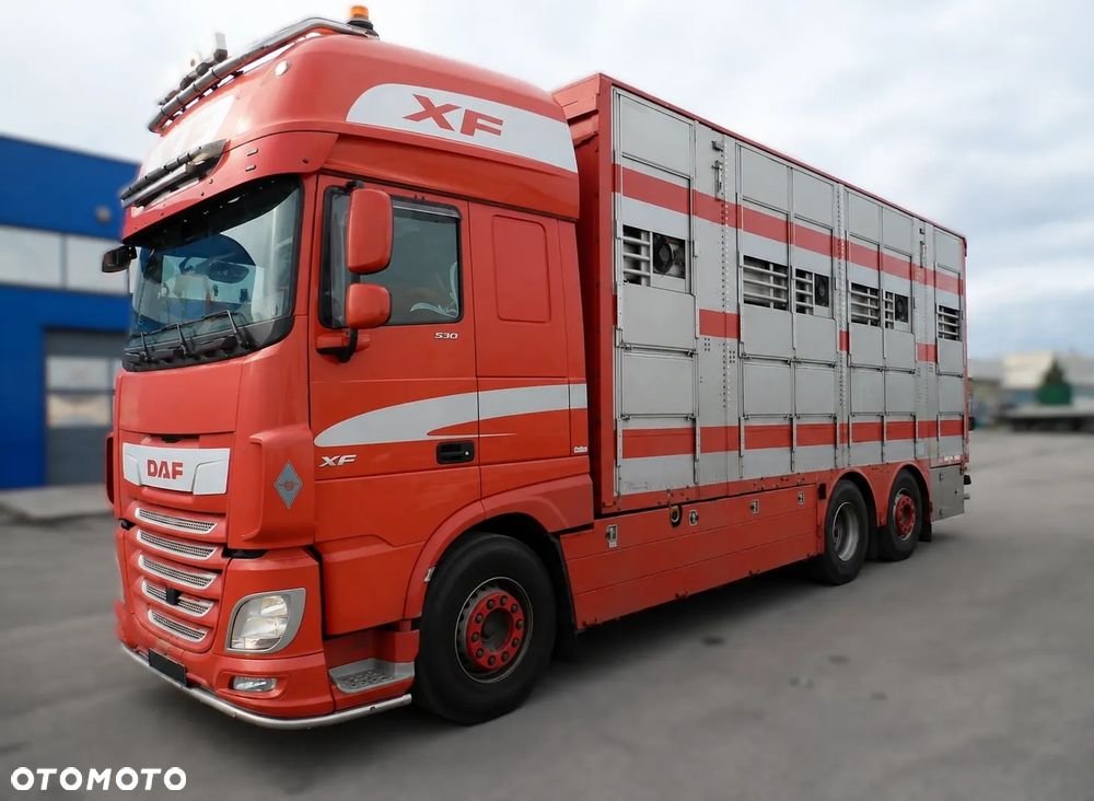 DAF XF 530 6x2 + PEZZAIOLI | Transport zwierząt | 3 poziomy | Podnoszony dach | 2020 - 1