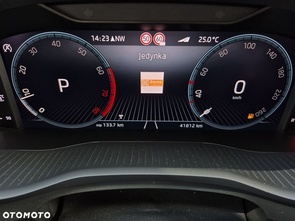 Skoda Kodiaq 2.0 TSI 4x4 L&K DSG - 19