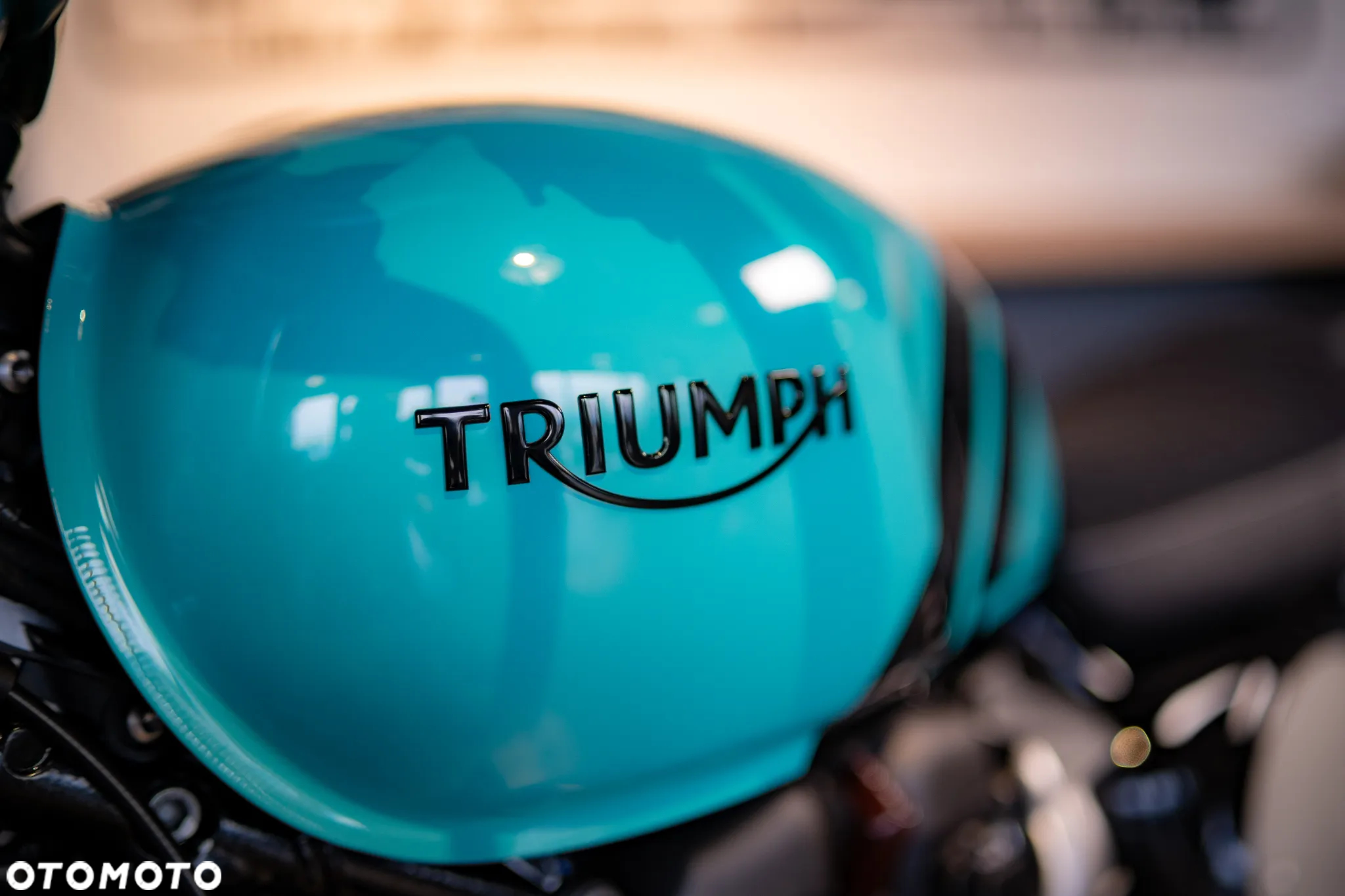 Triumph Scrambler - 19