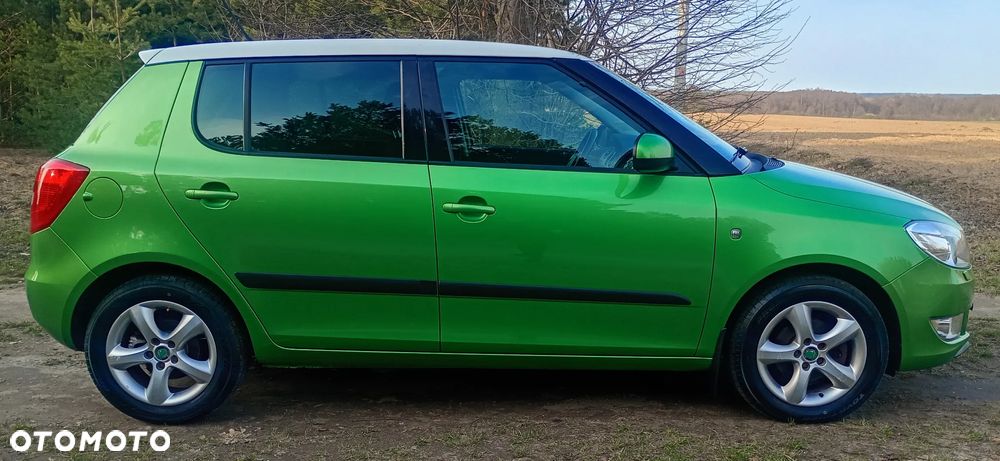 Skoda Fabia 1.2 TSI Elegance Green tec - 4
