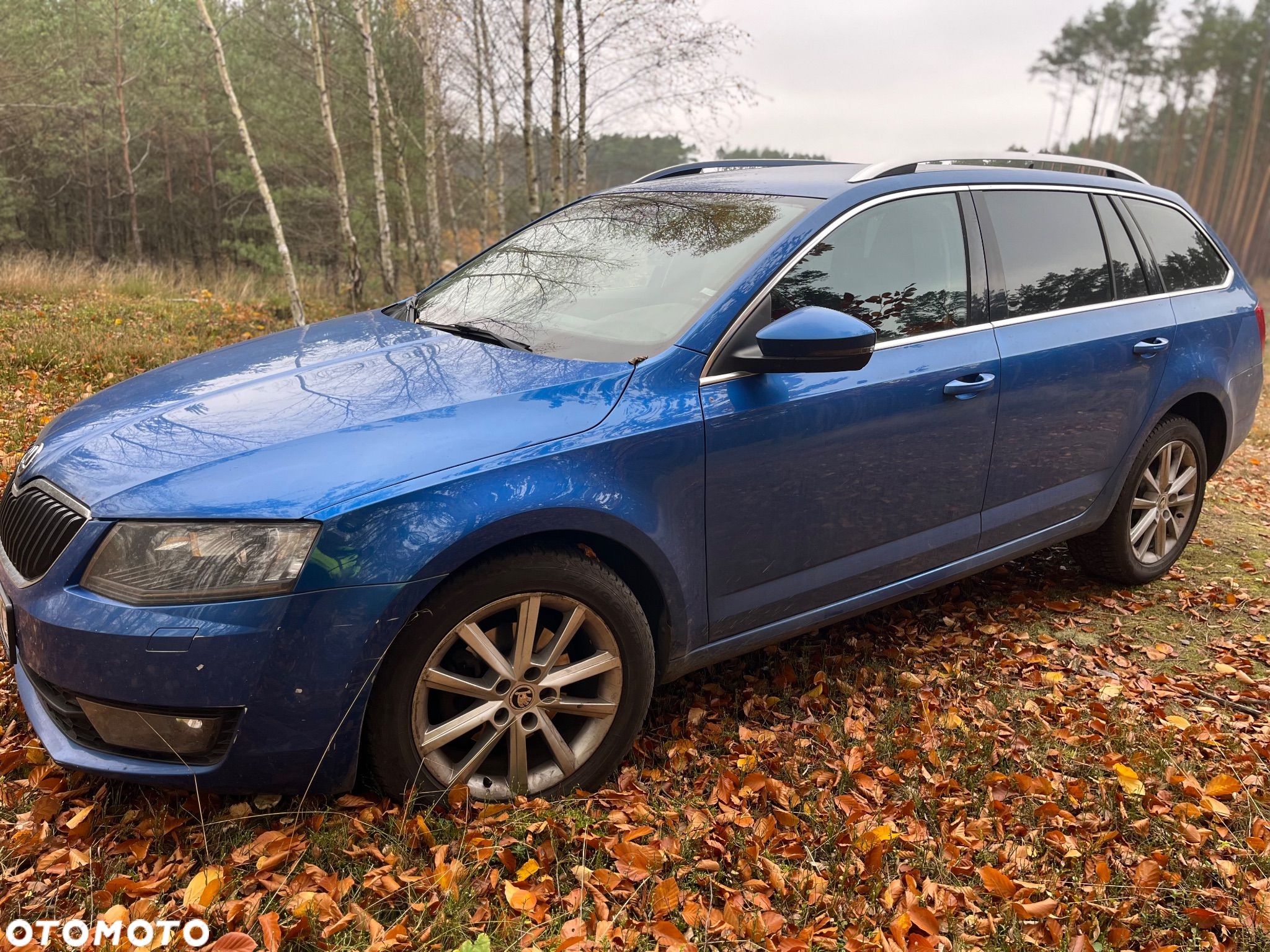 Skoda Octavia 2.0 TDI 4x4 Elegance - 1