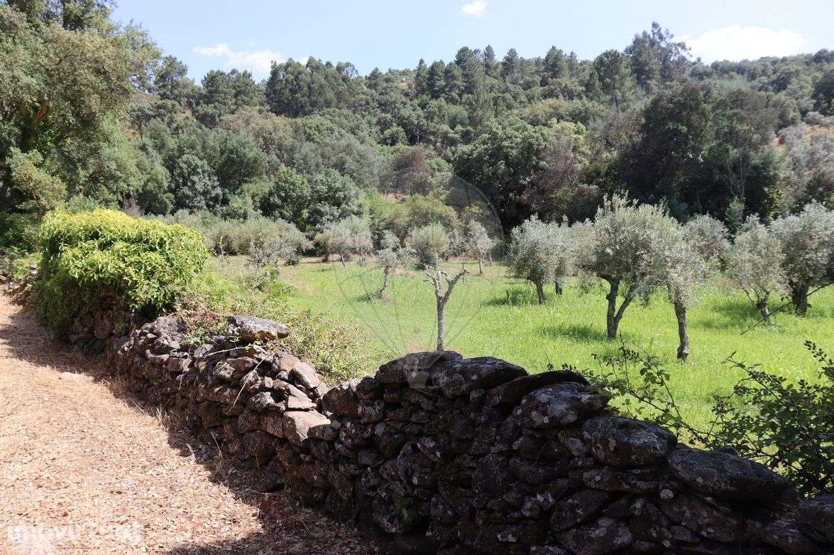 Terreno  para venda - Grande imagem: 5/11