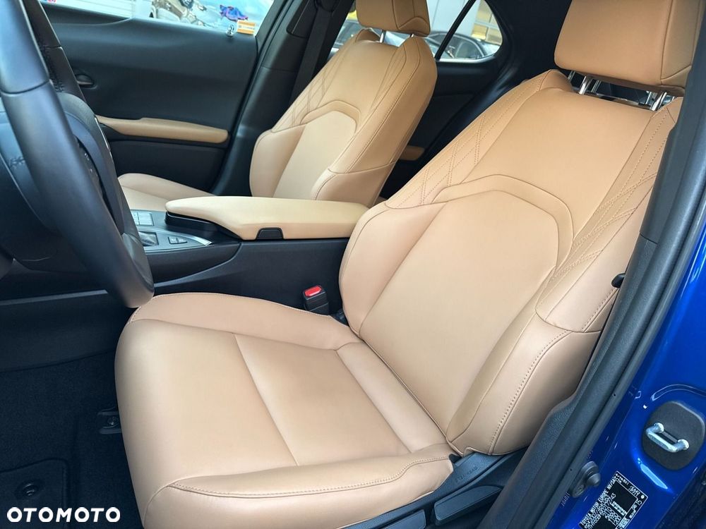 Lexus UX 250h GPF F Sport Design 2WD - 12