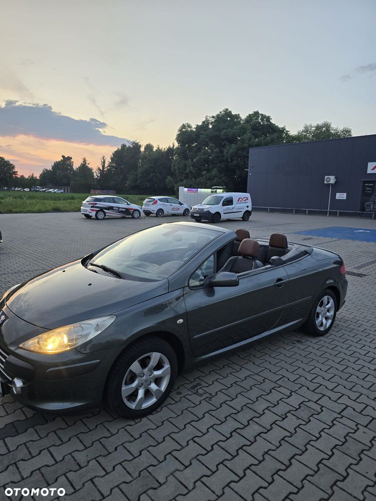 Peugeot 307 CC - 19