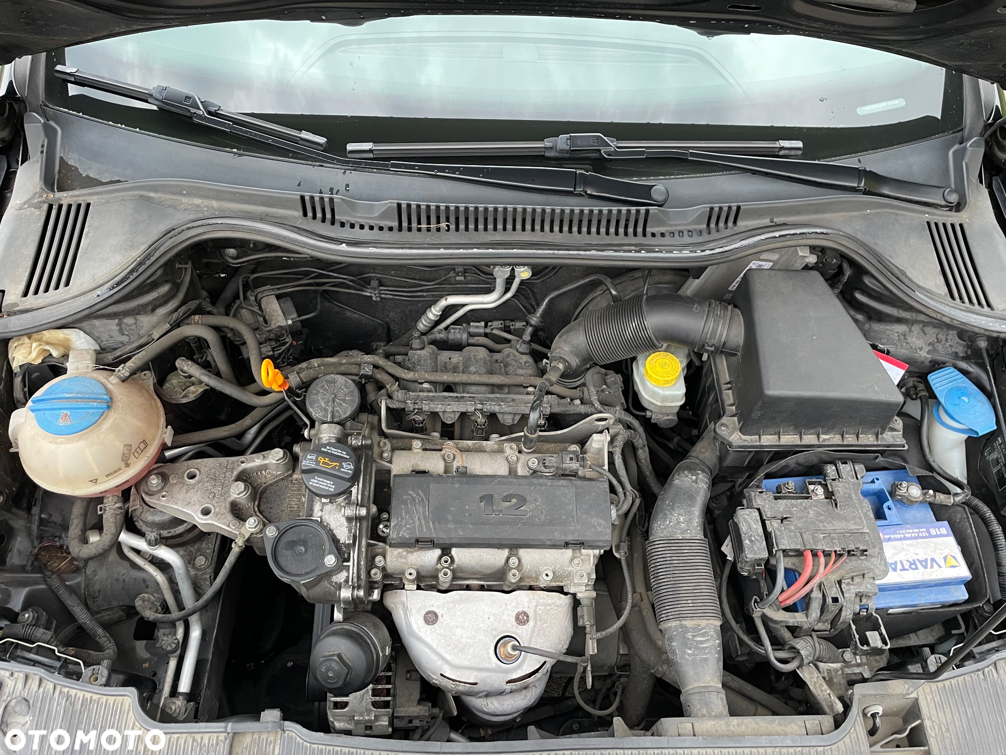 Seat Ibiza 1.2 12V Best of - 13