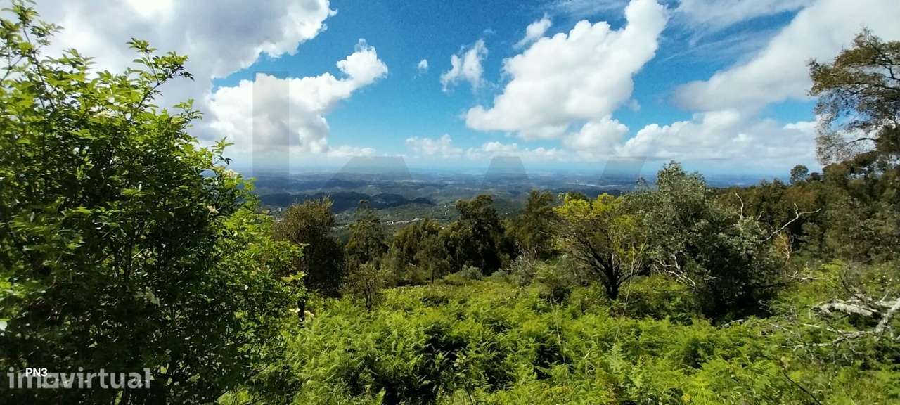 Terreno na Serra de Monchique 8.780 m2 - Grande imagem: 3/27