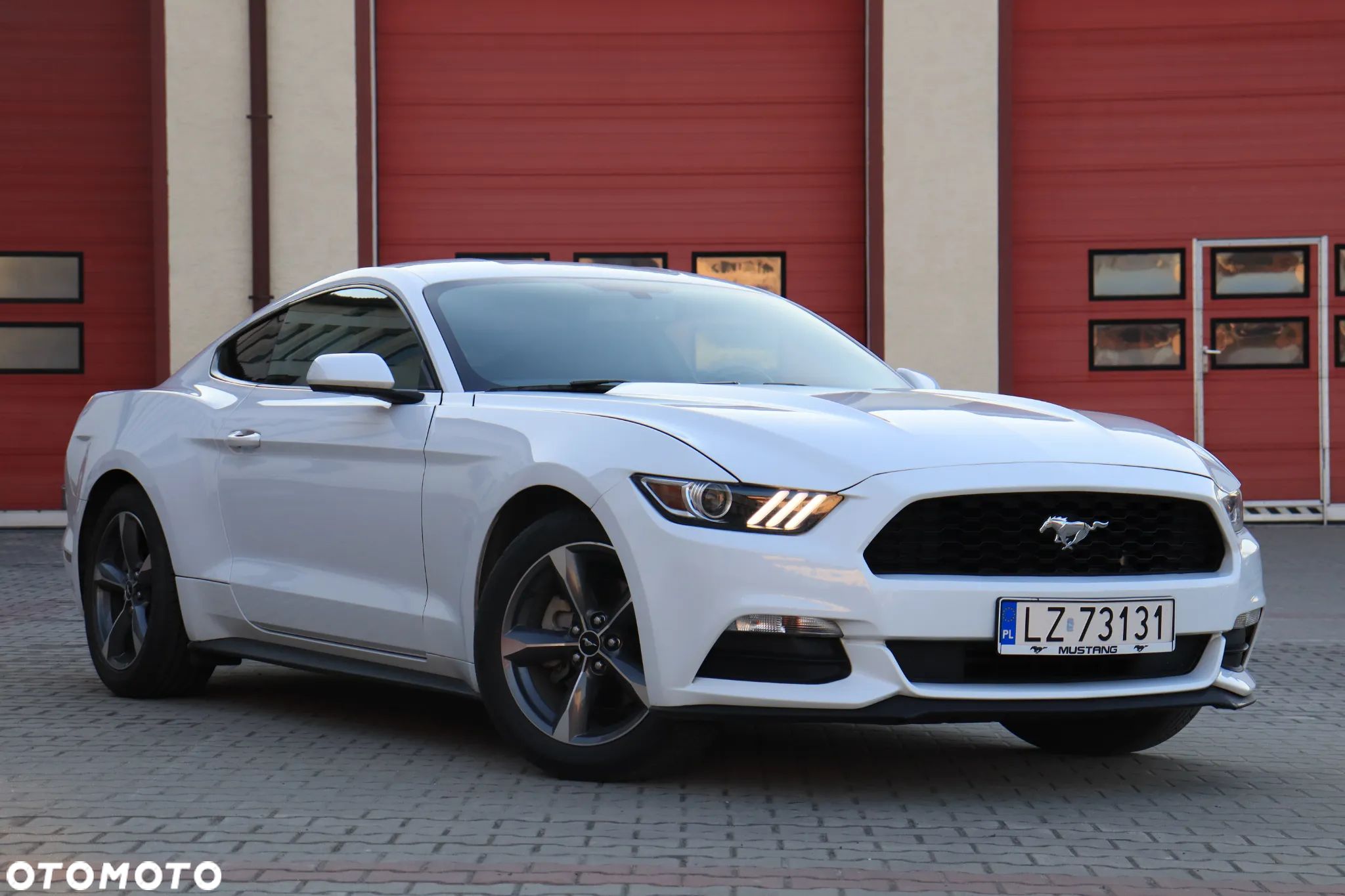 Ford Mustang - 1