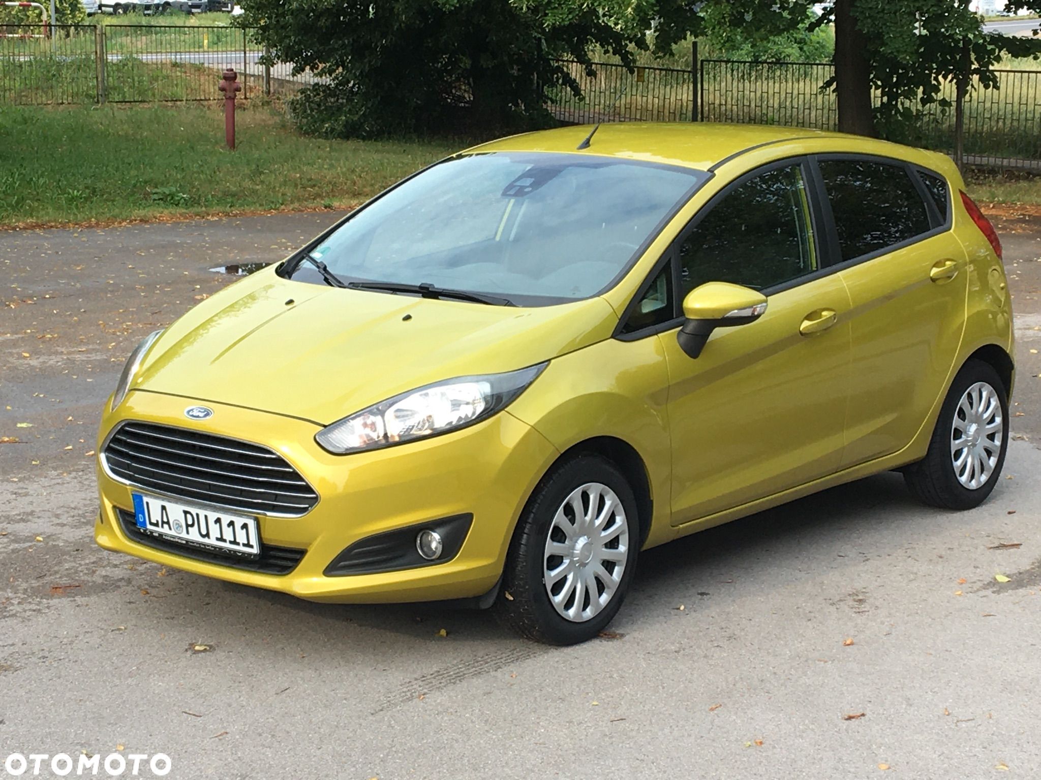 Ford Fiesta - 1
