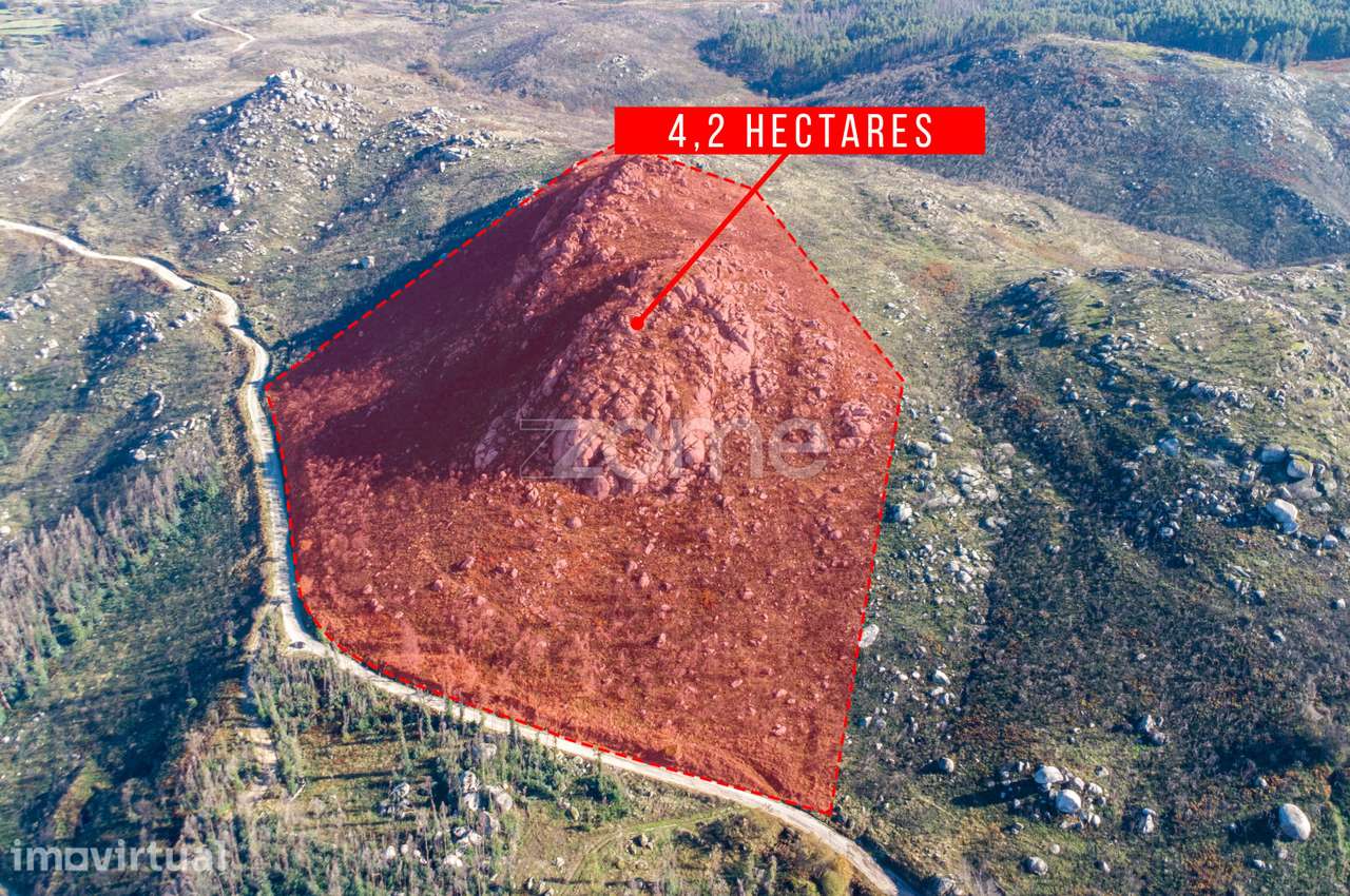 Terreno florestal com 4.2 hectares em Marco de Canaveses - Porto - Grande imagem: 2/7