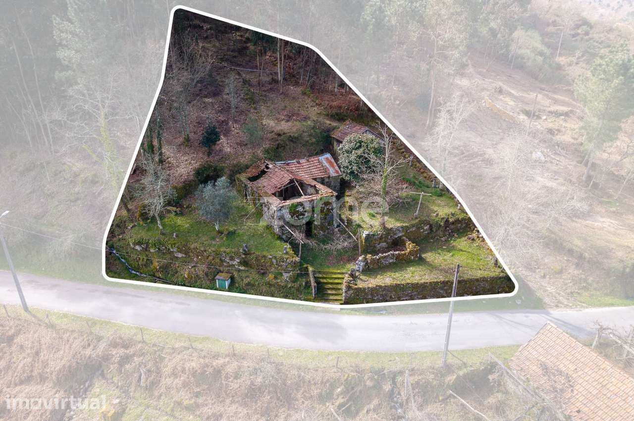 Moradia para recuperar com terreno de 1.600 m2 - Cinfães