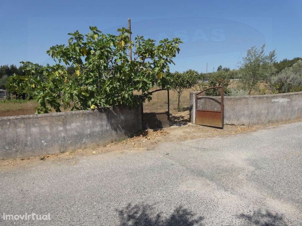Terreno Rústico com 3000m2 em Alviobeira, Tomar - Grande imagem: 3/9