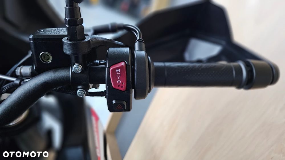 QJMOTOR SRT 300DX - 15