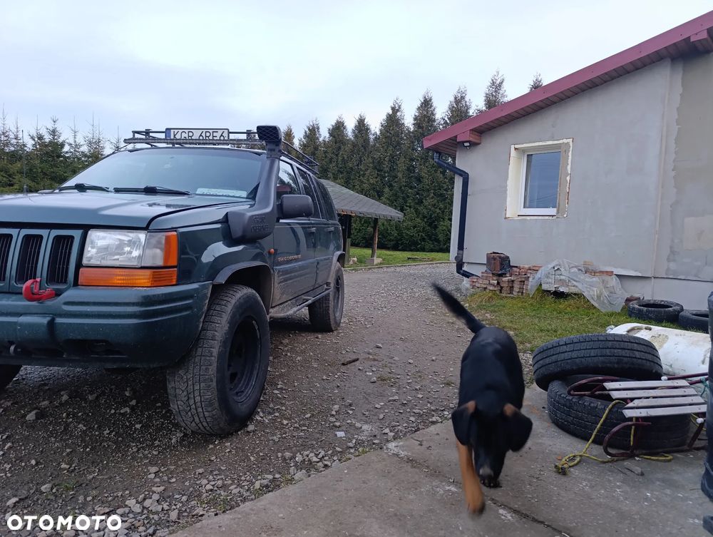 Jeep Grand Cherokee 4.0 Limited - 4