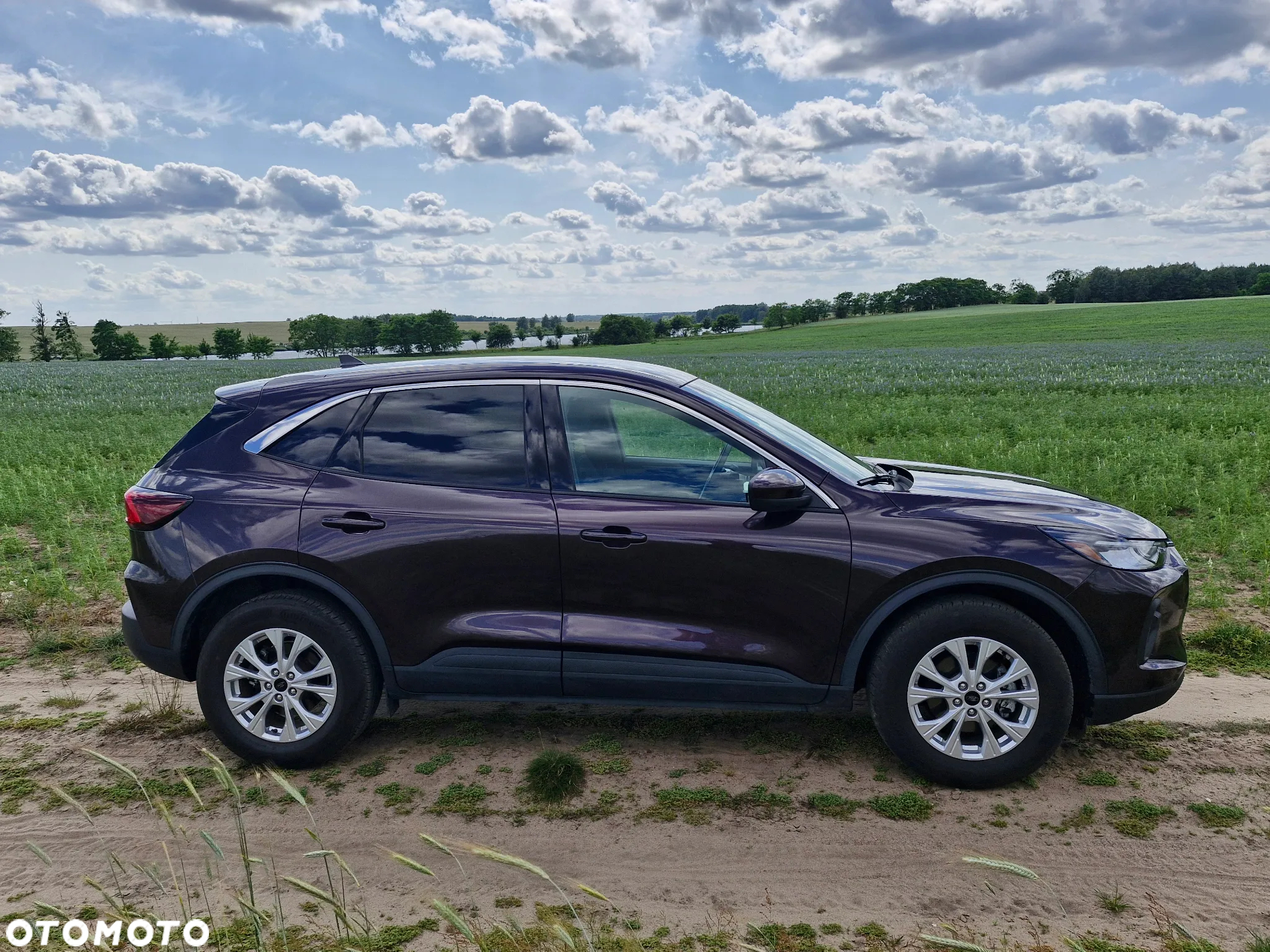 Ford Escape 1.5 EcoBoost AWD SE - 3