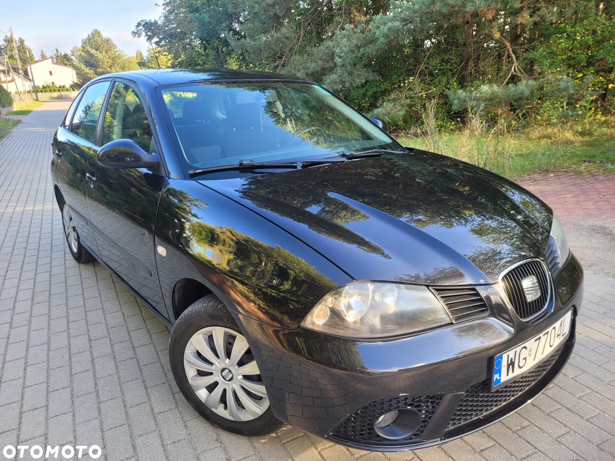 Seat Ibiza 1.4 16V Style - 11