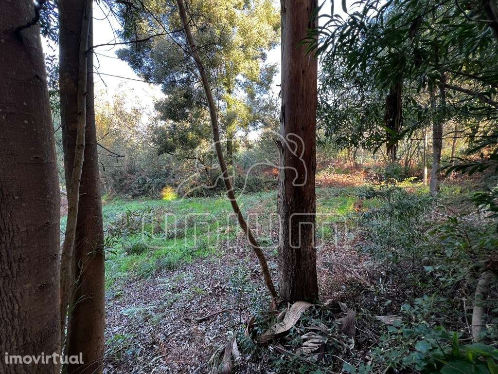 Invista em Qualidade de Vida - Terreno em Local Tranquilo Próximo a... - Grande imagem: 4/9