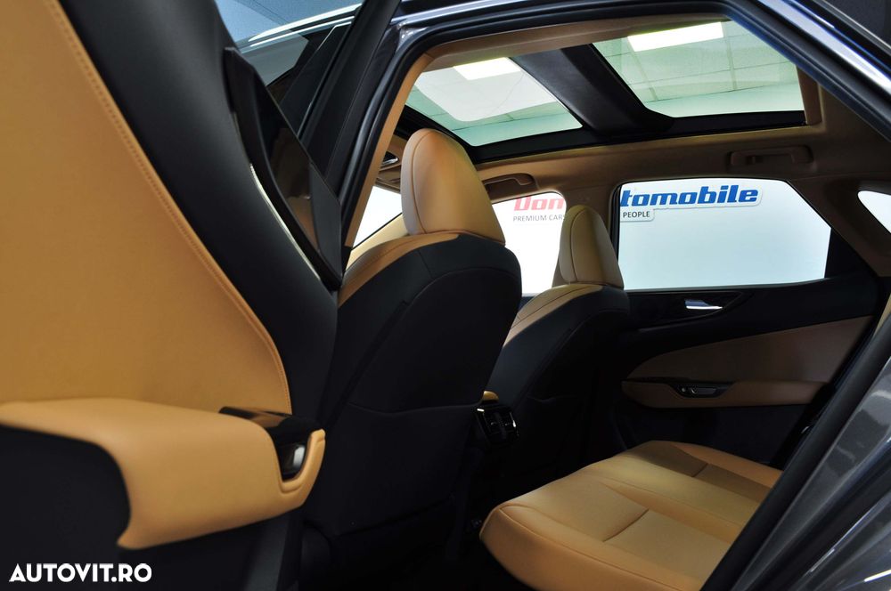 Lexus Seria NX 450h+ E-FOUR Executive Line - 12