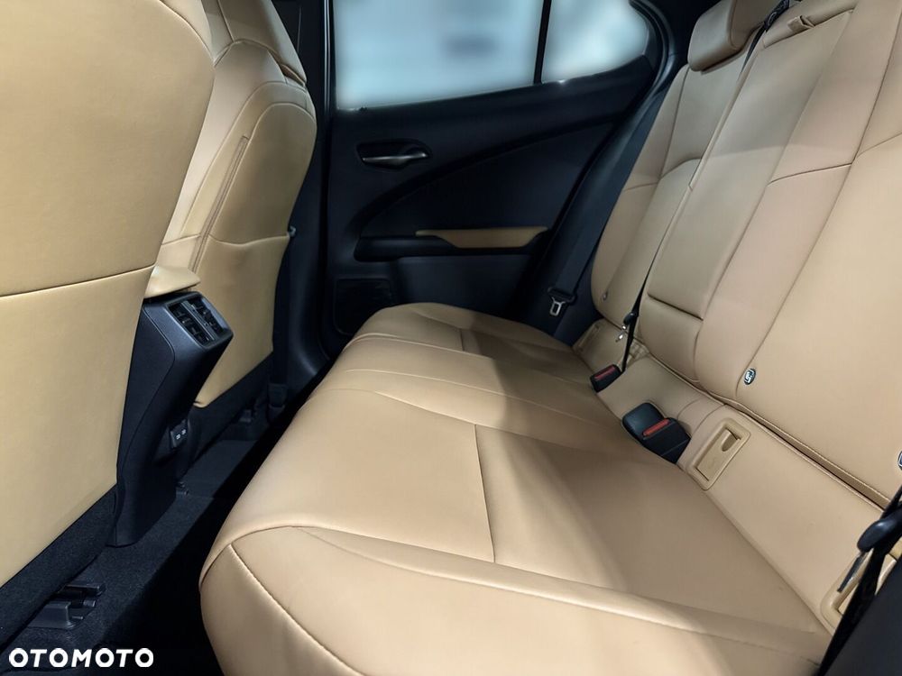 Lexus UX 300h F Sport Design - 10