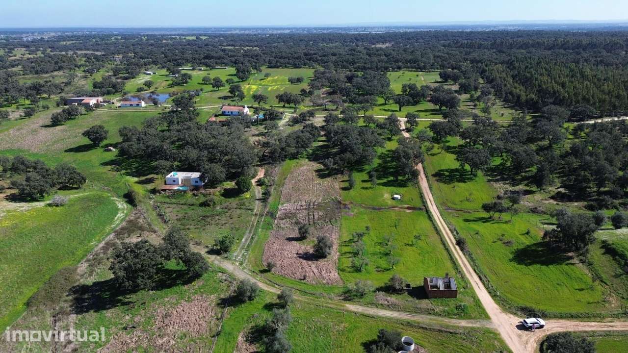 Terreno Rústico com 1,8 Hectares e Rendimento de Sobro – Próximo da Ba - Grande imagem: 2/16