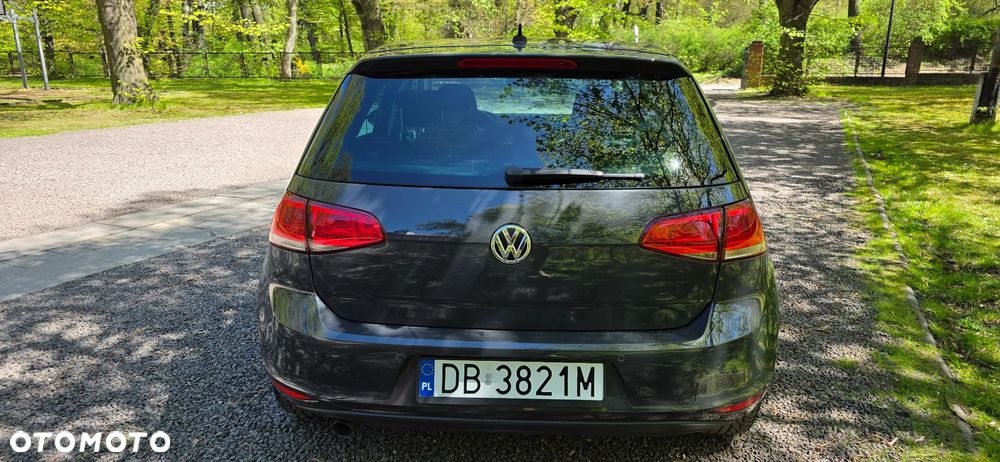 Volkswagen Golf - 16