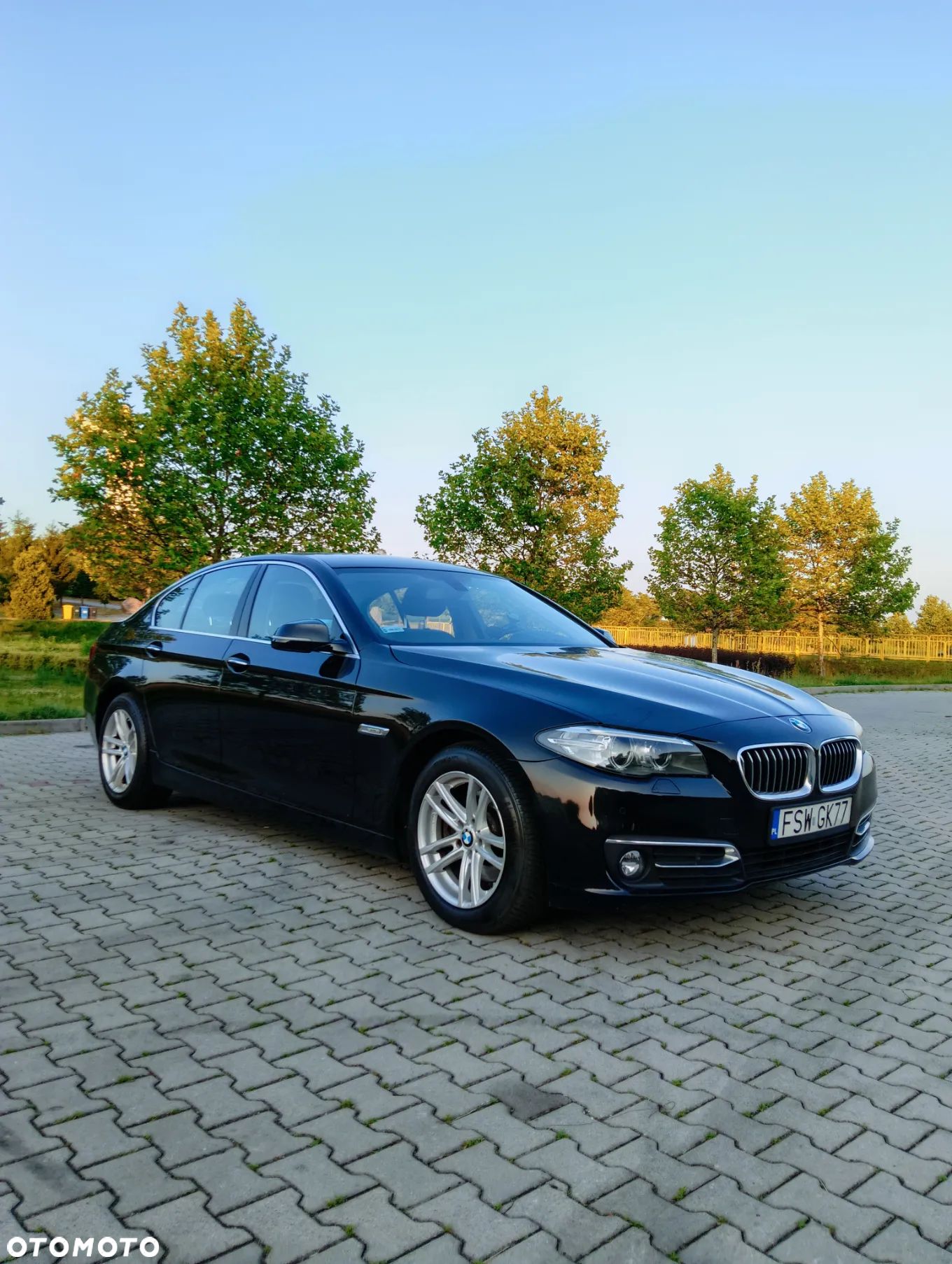 BMW Seria 5 520d Luxury Line - 1