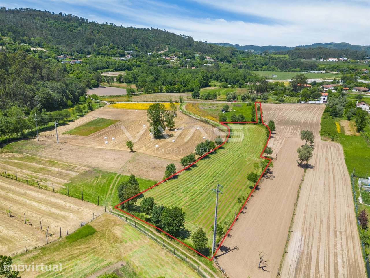 Terreno  Venda em Vila Verde e Barbudo,Vila Verde - Grande imagem: 2/23