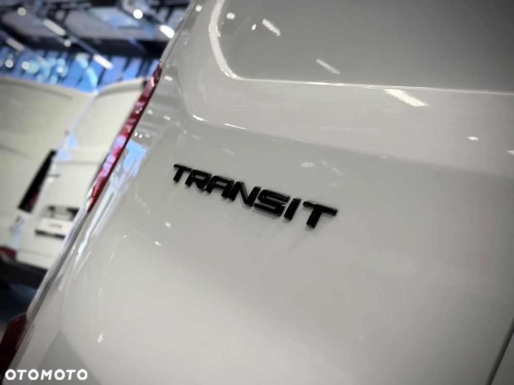 Ford Transit - 20