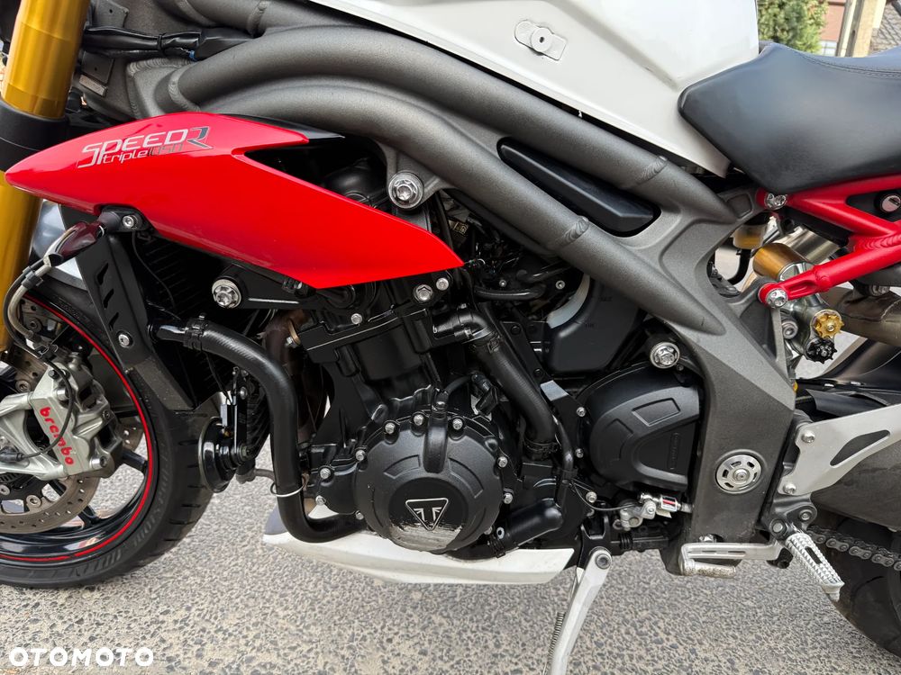Triumph Speed Triple - 14