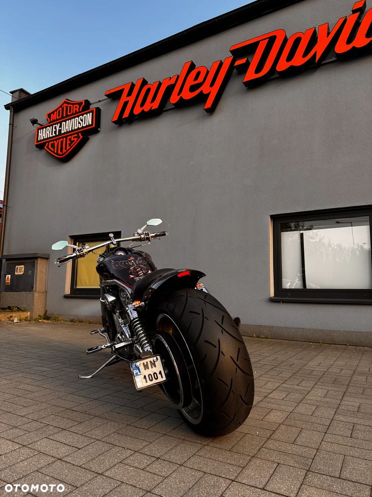 Harley-Davidson V-Rod Street Rod - 3