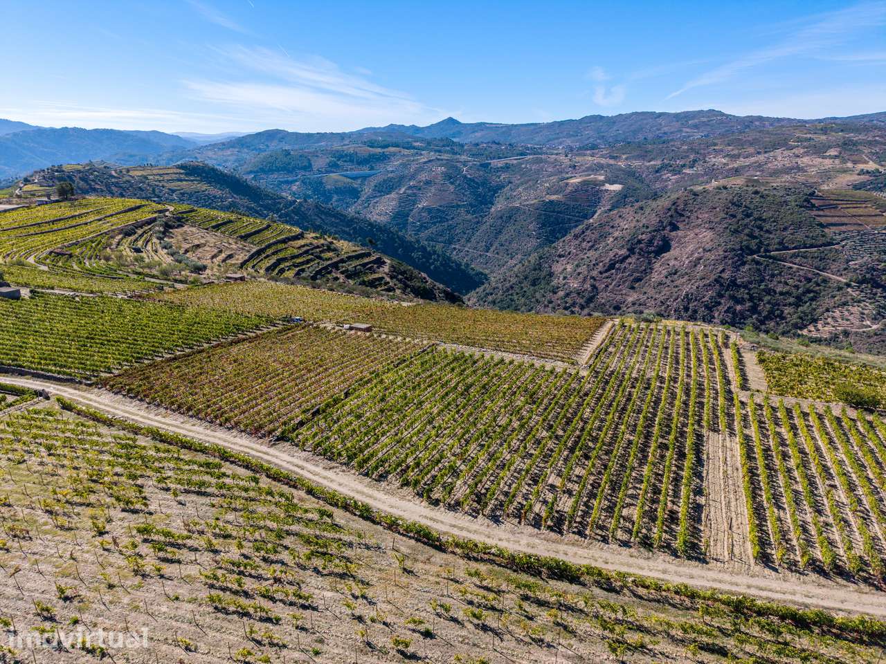 VINHA À VENDA EM MURÇA – REGIÃO DEMARCADA DO DOURO - Grande imagem: 5/23